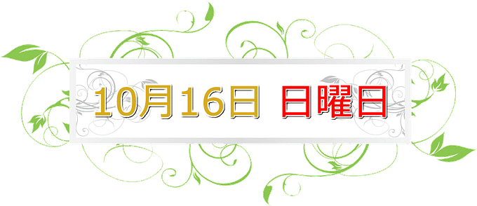 10ae%c2%9c%c2%8816ae%c2%97%c2%a5